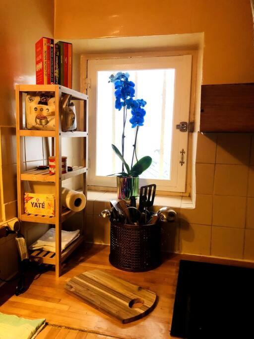 Habitation Salome Apartment Paris Luaran gambar